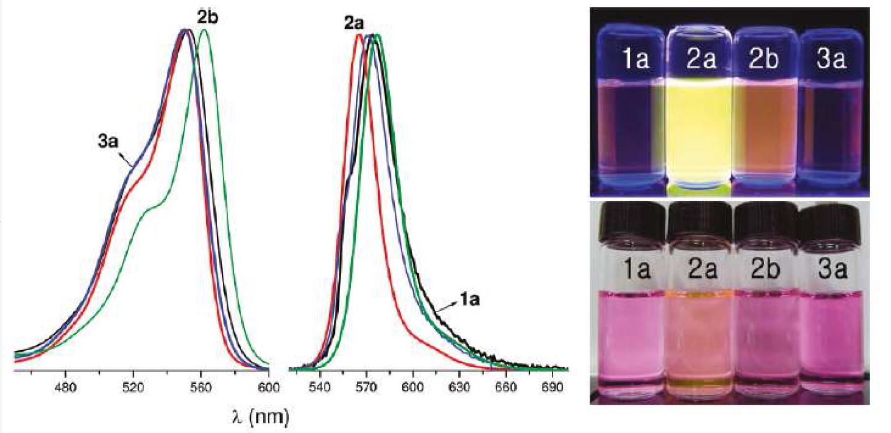 그림 2. (Left) 정규화된 UV-vis 흡수, 방출 스펙트럼 (upper right) UV irradiation (365 nm)에서의 화합물의 사진 (1a, 2a, 2b, and 3a) in acetonitrile. (Lower right) 백색광에서의 사진 : 10 μM.