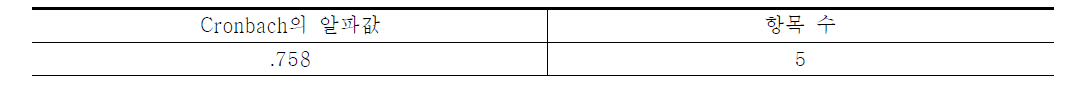 기술적 타당성 분석 설문결과의 신뢰도 통계량