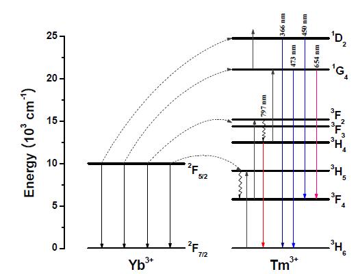 Yb3+와 Tm3+의 에너지 전달과정