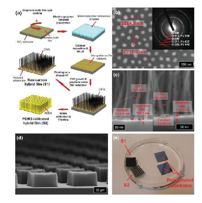 플렉서블 Graphene-CNT 하이브리드 구조체의 제작 공정 및 구조체의 모습