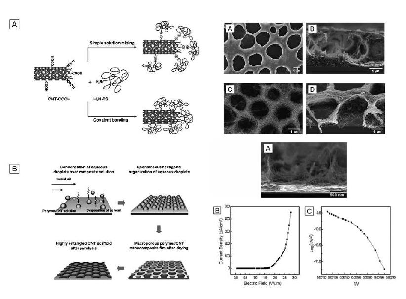 다공성 CNT 구조의 제작 모식도와 field emitter 특성