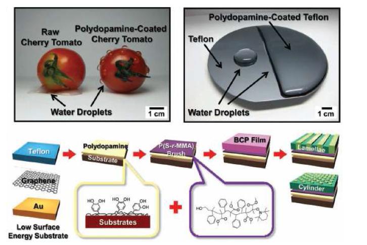 폴리도파민을 이용한 낮은 표면에너지를 가지는 기판 위의 나노패터닝 모식도