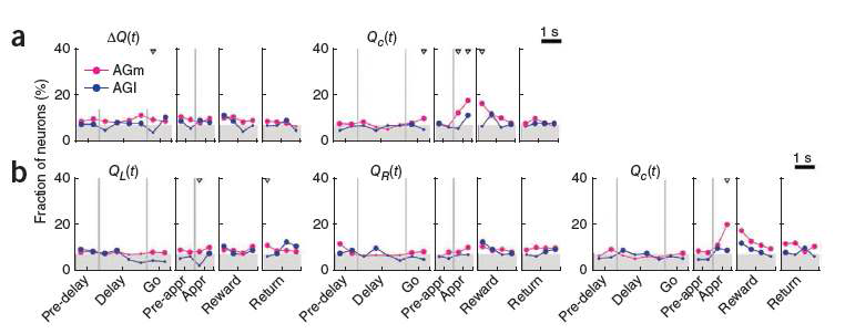 효용가치와 관련된 신경신호. Y-축은 각 변수에 대해 유의하게 반응하는 뉴런의 비율을 나타내며, X-축은 과제의 단계를 나타냄. 아래 회색 부분은 chance level을 나타낸다(binomial test. p=0.05). (a) Decision value(ΔQ=QL-QR)와 chosen value(Qc)에 대한 신경신호. (b) Left action value(QL), right action value(QR), 그리고 chosen value(Qc)에 대한 신경신호. AGm의 경우 동물이 행동선택을 하기 전인 delay stage에서 ΔQ가 유의했으며, 행동선택의 결과가 밝혀진 reward stage에서 Qc가 유의하게 증가하였음. 반면 AGl의 경우 value 관련 신경신호가 미약했음.