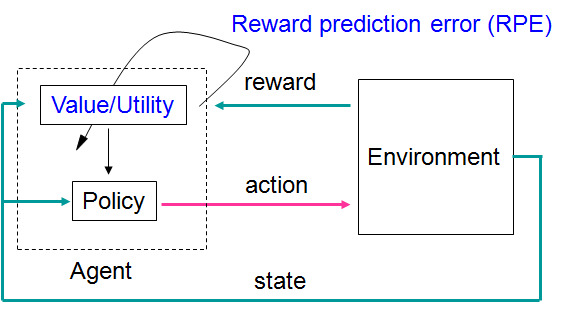 강화학습(reinforcement learning). Agent는 의사결정을 내리는 주체이며 효용가치(value/utility)에 근거해 행동전략(policy)을 세우고 행동(action)을 취함. 그 결과 얻어지는 보상(reward)과 예측된 보상(현재 의 value/utility)과의 차이인 보상예측오차(reward prediction error, RPE)에 따라 현재의 효용가치를 변화시 킴. 이런 방식으로 행동결과에 따라 끊임없이 효용가치를 변화시켜 역동적인 환경에서 최적의 행동전략을 유 지해 나감