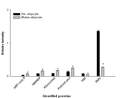 Differential expression levels of proteins in pre and mature adipocytes. For protein nomenclatures, see the Abbreviations section. Values are mean ±SEM of three independent experiments, and are significant at *p<0.05, **p<0.001 when compared to preadipocytes.