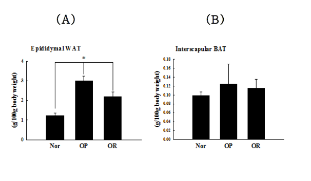 Adipose tissue weight of obesity-prone and obesity-resistant rats. n=6 per group; *p<0.01, **p<0.001, Error bars represent means ±SEM.