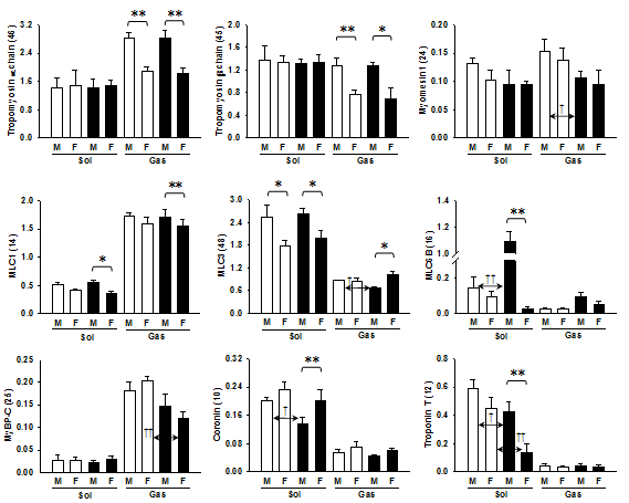 Graphical presentation of the statistical evaluation of contractile protein abundance of soleus (sol) and gastrocnemius muscles (gas) between the genders (males vs. females) and diets (ND vs. HFD). White bars are for normal diet and black bars are for HFD. *p<0.05, **p<0.01; †p<0.05 ††p<0.01.