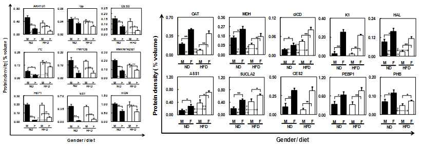 Differentially expressed liver proteins showing gender difference in both ND and HFD rats with higher protein levels in males (A) and females (B). Data are exhibited as mean values ±SEM of volume density (%) of the changed spot. *p<0.05, **p<0.01; †p<0.05 ††p<0.01.