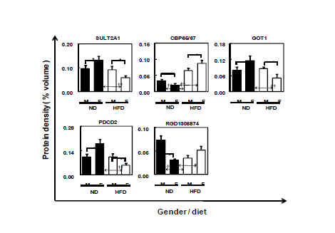 Differentially expressed liver proteins showing opposite gender difference between ND and HFD rats. Data are exhibited as mean values ±SEM of volume density (%). *p<0.05, **p<0.01; †p<0.05 ††p<0.01.