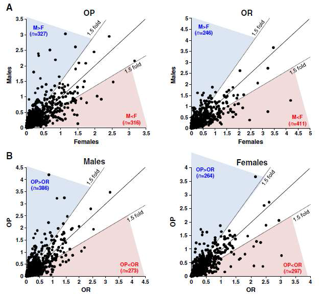 Scatter plots comparing global protein regulation profiles between males vs. females (A) or OP vs. OR rats (B). Regulation of plasma proteins of males or OP rats was plotted against those of the females or OR rats and these plots were drawn using all spots appeared in three gels of each group. Spots with volume (%) of five and over were excluded from scatter plots. Upper and the lower diagonal lines show the 1.5-fold regression lines. X- and Y-axis represent volume (%) of each spot in the normal, OP, and OR groups of males and females.