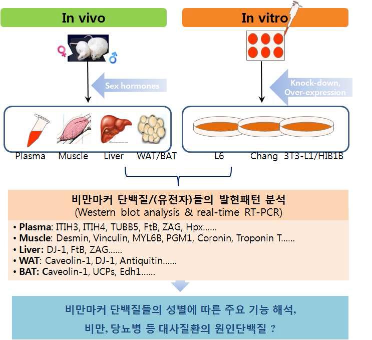 후속연구 계획