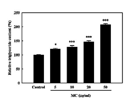 Triglyceride content in 3T3-L1 cells 8 days after induction of differentiation. Data shown are representative of three experiments.