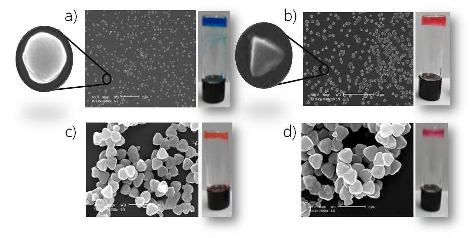 그림 7. FE-SEM images of the Co2+ coordination polymer gel of H4TCTA (10 mM) with a) CoCl2, b) Co(NO3)2, c) CoI2, and d) CoBr2 (3 equiv) in MeOH