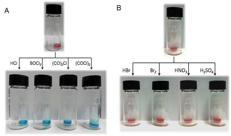 그림 9. Color changes of Co2+ coordination polymer gel 1 (10 mM) by diffusion of chloride gases (100 mM)