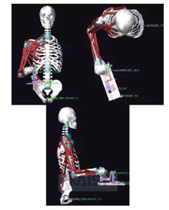 시뮬레이션 프로그램, LifeMOD 2005, Biomechanical Research Group 사