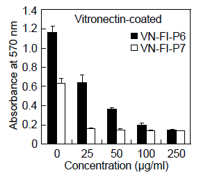 VN-FI-P6 및 VN-FI-P7 펩타이드에 의한 사람 vitronectin에 대한 세포부착 억제.