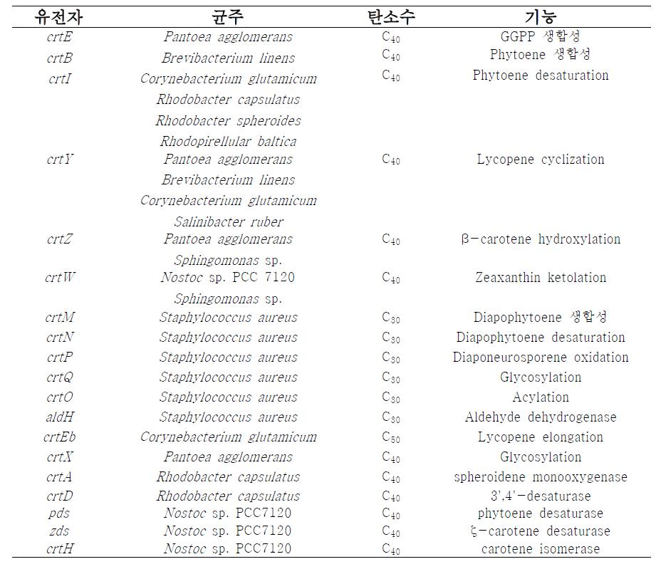 본 연구에서 확보한 카로틴노이드 생합성 관련 유전자