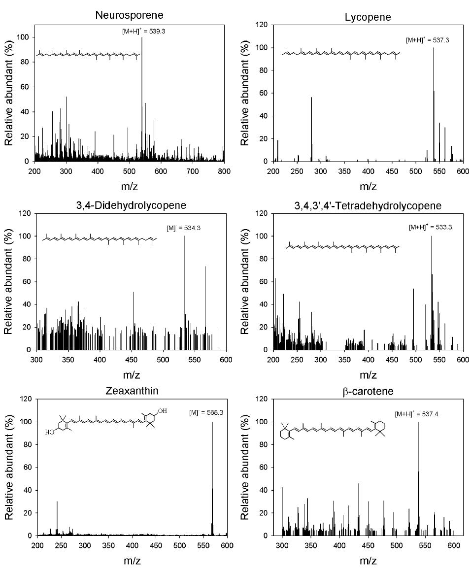 본 연구를 통해 확보된 카로틴노이드의 MS spectra