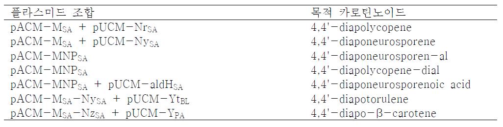 C30 카로틴노이드 분리/정제를 위한 플라스미드 조합.