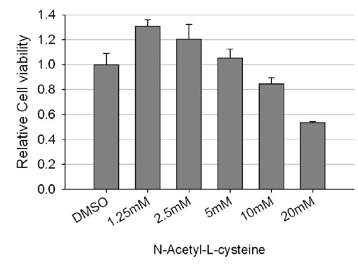 NAC의 HeLa cell에 대한 농도별 cytotoxicity.