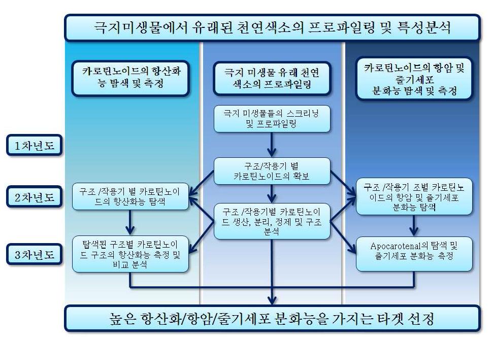 후속 연구의 추진 체계도