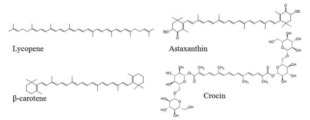 C40 카로틴노이드의 구조