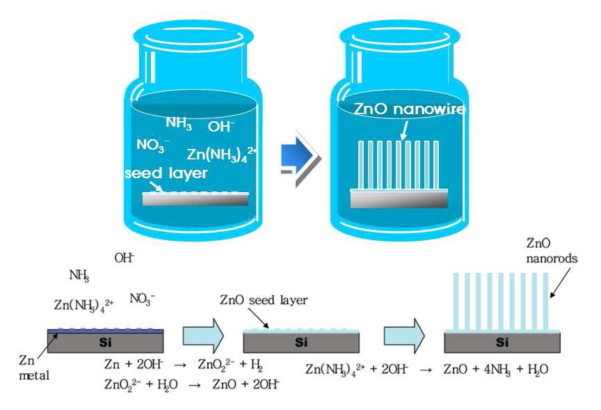 ZnO 나노선 구조의 합성