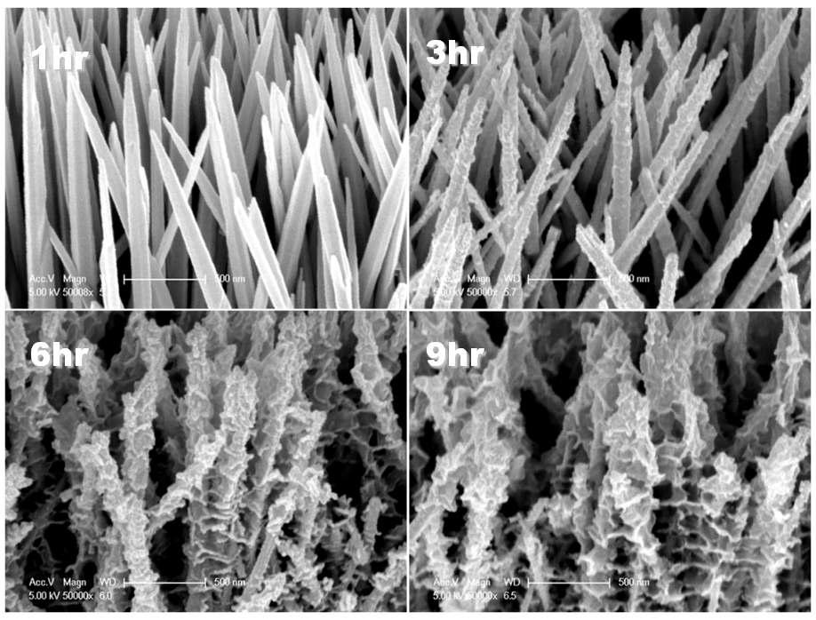 반응 시간에 따른 나노구조의 변화