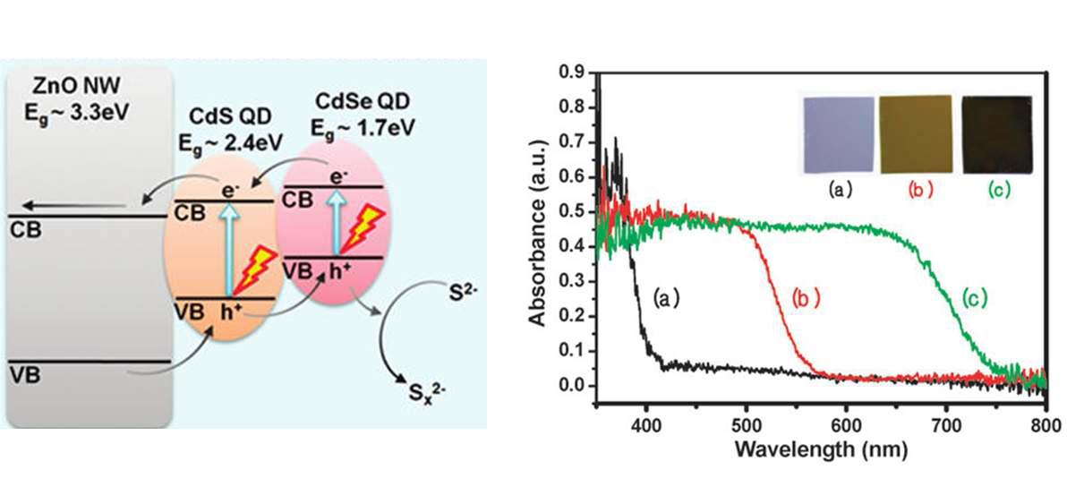 (왼쪽) 본 연구에서 사용된 흡광구조의 모식도. (오른쪽) (a) ZnO, (b) CdS/ZnO, (c) CdSe/CdS/ZnO의 광흡수 스펙트럼