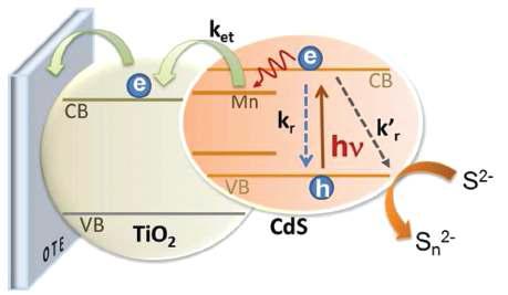 Mn이 도핑된 CdS 양자점 감응형 태양전지의 전자이동그림.