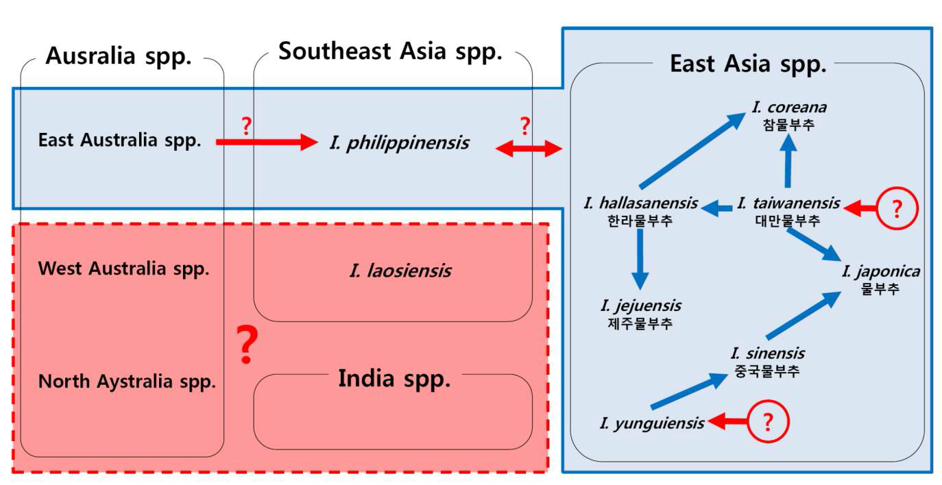 Distributions and hypothetical phylogeny of Isoetes species. The focuses of our proposal are in red colour. Isoetes species in blue box were examined in the preliminary study but red arrows are not confirmed yet (modified from Kim et al., 2010b).