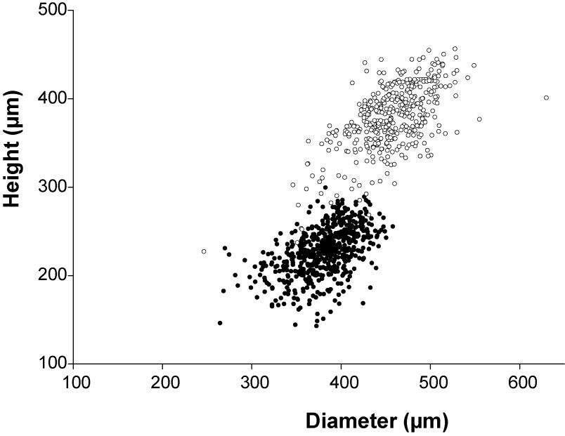 Representation of dimorphism in megaspores of Isoëtes coromandelina L. f. subsp. coromandelina from Mondulkiri, Cambodia. A scattered plot of diameter versus height was generated using the size of 953 megaspores in a megasporangium. Open circles (○) and closed circles (●) indicate large-spherical type (409 megaspores) and small-flattened type (544 megaspores), respectively (Jung et al. 2013a, accepted).