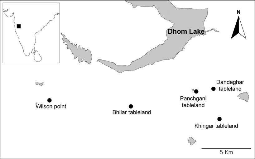 Locality of the five Isoëtes dixitei Shende populations from Maharashtra, India. The closed rectangle (■) in the small map indicates the location of all populations. The closed circle (●) indicates each population (Bhilar tableland, Wilson point, Panchgani tableland, Khingar tableland, and Dandeghar tableland) (Jung et al. 2013b submitted).