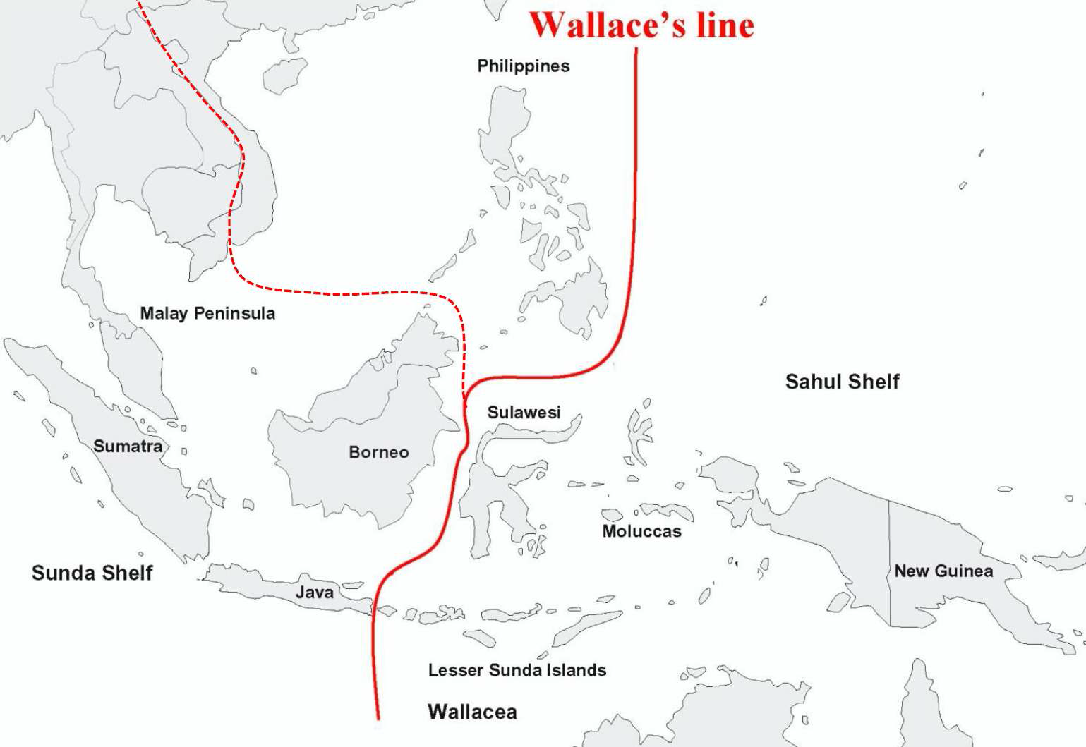 Wallace’s Line and boundary by dispersal pathway of Isoetes species. Wallace’s Line (red solid line was placed between Java and Bali and between Palawan and Borneo (modified from Wallace 1859). Boundary by dispersal pathway of Isoetes species (red dotted line) was placed between Borneo and Philippine and between Vietnam and Laos (Figs. 9 and 12)