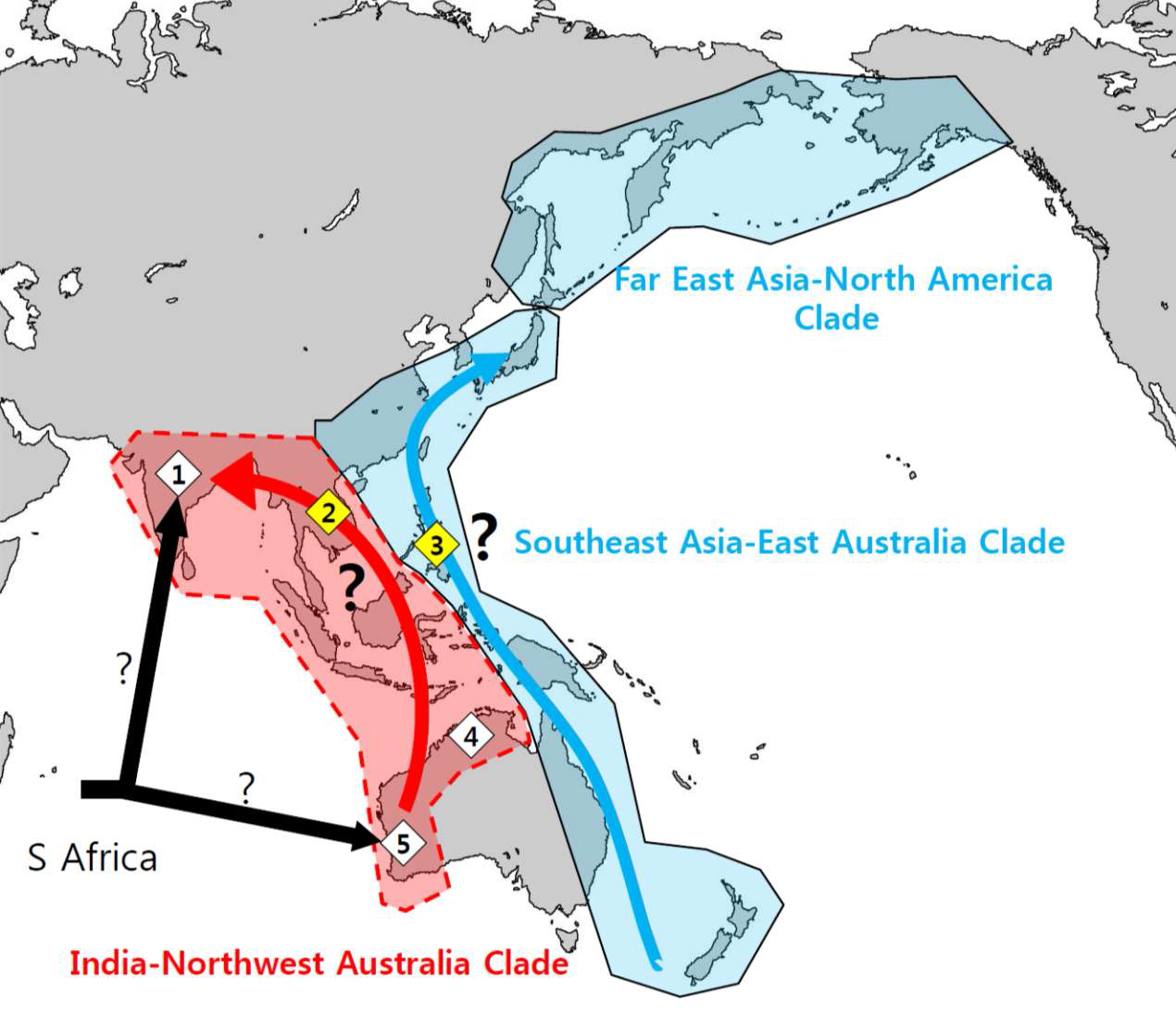 Representation of phylogeny and dispersal hypothesis of Isoetes species. Black arrows indicate hypothesis for origin (Hoot et al., 2006). Red arrow indicates dispersal hypothesis in this study. Distributions of Isoetes species are shown as numericals (1. India; 2. Laos; 3. Philippine; 4. North Australia; 5. West Australia). The studies for ‘Far East Asia-North America clade’ and ‘Southeast Asia-East Australia clade’ were performed by Kim et al. (2009a, 2012; submitted to Aquatic Botany).