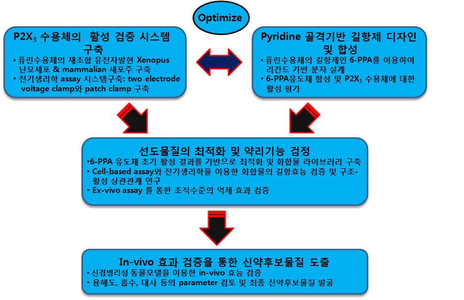 연구 추진 전략