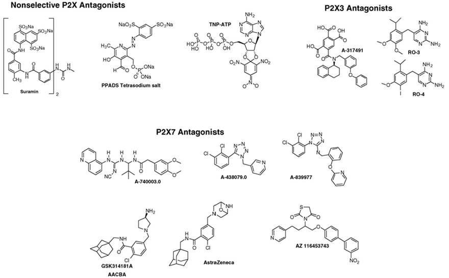 P2X 수용체의 길항제들