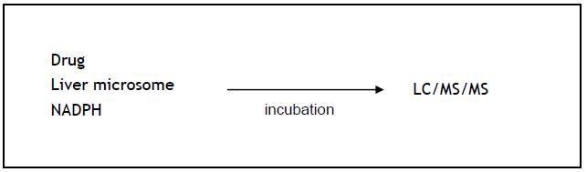 In vitro metabolic stability 실험 원리