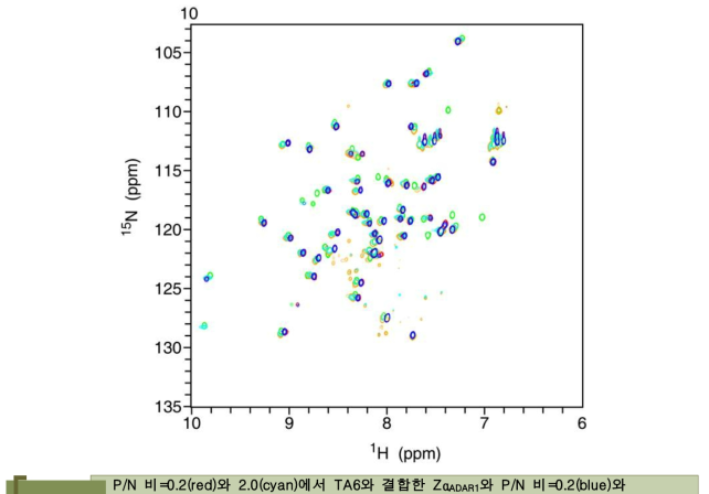 P/N 비=0.2(red)와 2.0(cyan)에서 TA6와 결합한 ZαADAR1와 P/N 비=0.2(blue)와 2.0(orange)에서 CA6와 결합한 ZαADAR1와free ZαADAR1(green)의 /15N HSQC스펙트럼의 겹쳐놓음