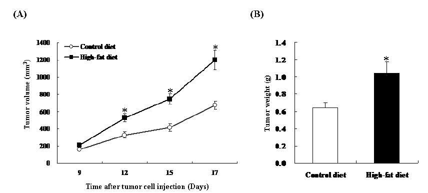 고지방식이가 B16-F10 세포를 주입한 마우스의 종양 부피 및 무게 변화에 미치는 영향.