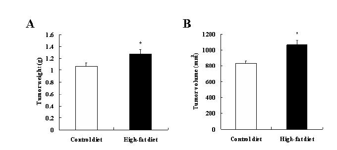 4T1 orthotopic model에서 고지방식이 (60 kcal% fat)가 종양의 무게 및 부피에 미치는 영향.