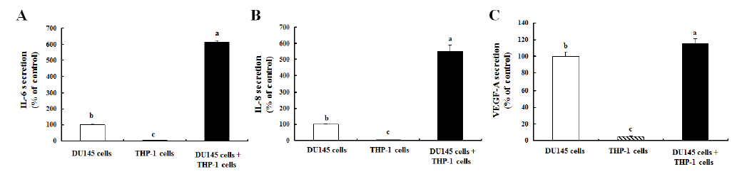 DU145와 THP-1 세포의 상호작용이 IL-6, IL-8, VEGF-A 의 분비에 미치는 영향