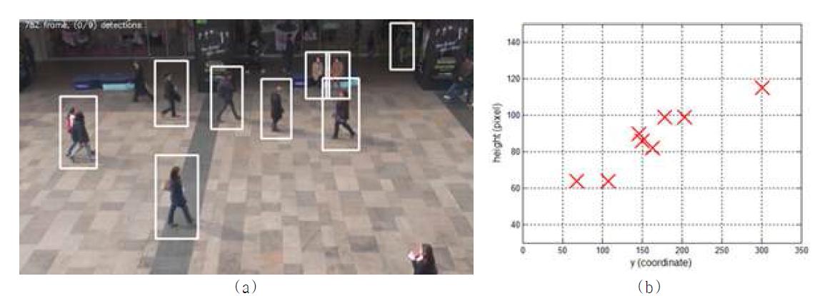 원근 영상에의 위치에 따른 크기 변화, (a) 사람 검출 결과의 예, (b) 2차원 공간에서의 검 출 위치(y좌표)에 따른 사람의 크기 분포.