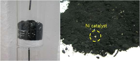 이산화탄소 개질 반응 후 니켈 촉매에 침착된 탄소의 모습