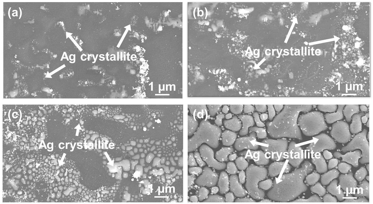 온도에 따른 (100) Si wafer에 생성된 Ag crystallite의 분포: (a) 740oC, (b) 770oC, (c) 800oC, (d) 830oC