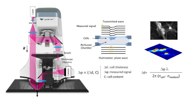 그림 2. 바이오 미생물체의 3차원 센싱 및 이미징을 위한 디지털 홀로그래픽 현미경 실험셋업의 개요도