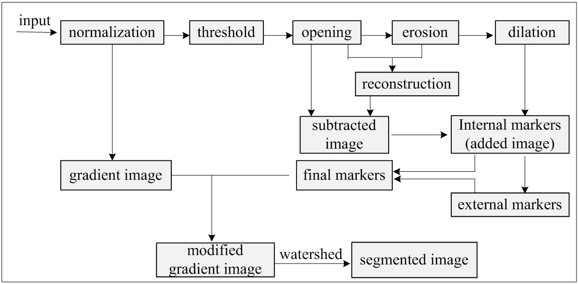 그림 5. 본 연구에서 제안된 Marker-controlled watershed 기반 홀로그래픽 3차원영상 segmentation 알고리즘의 flowchart