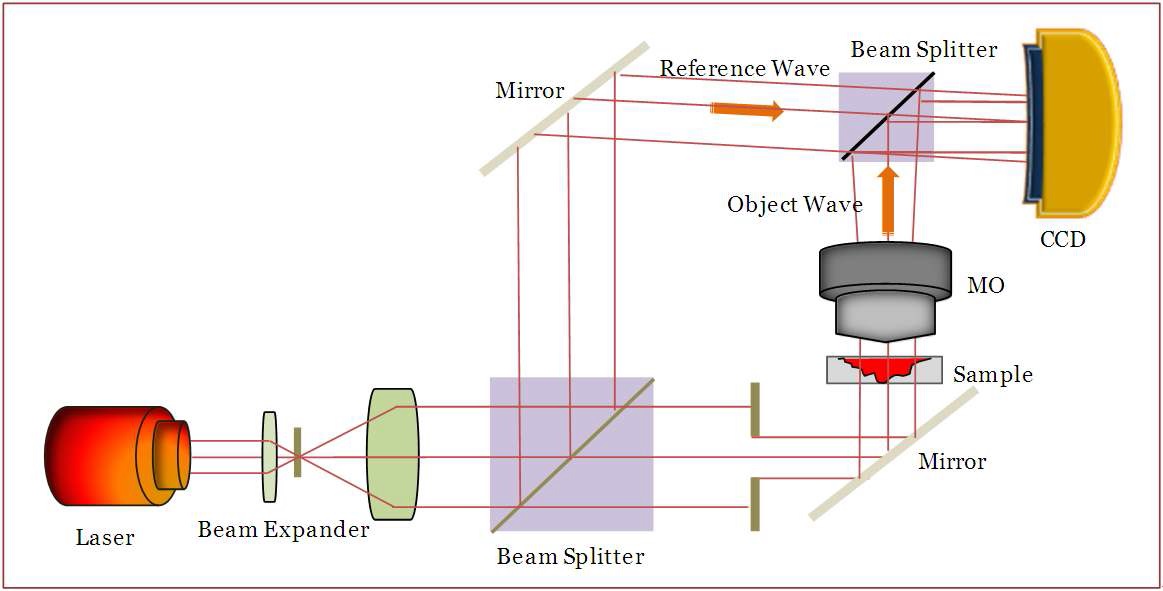 Fig. 7. Schematic of the off-axis digital holographic microscopy used in the experiments.