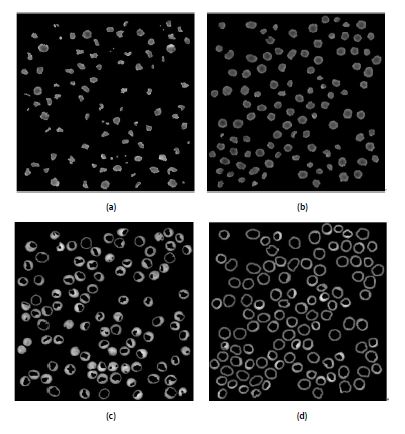 Fig. 13. Segmentation results of the inner and outer parts of the RBC QPI