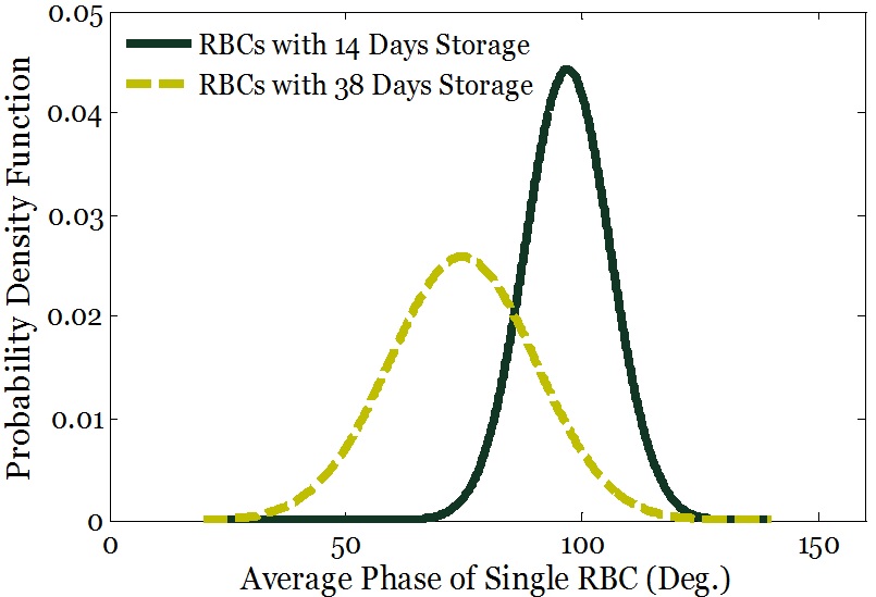 Fig. 14. Distribution of average phase of single RBC after subtracting the average background phase.